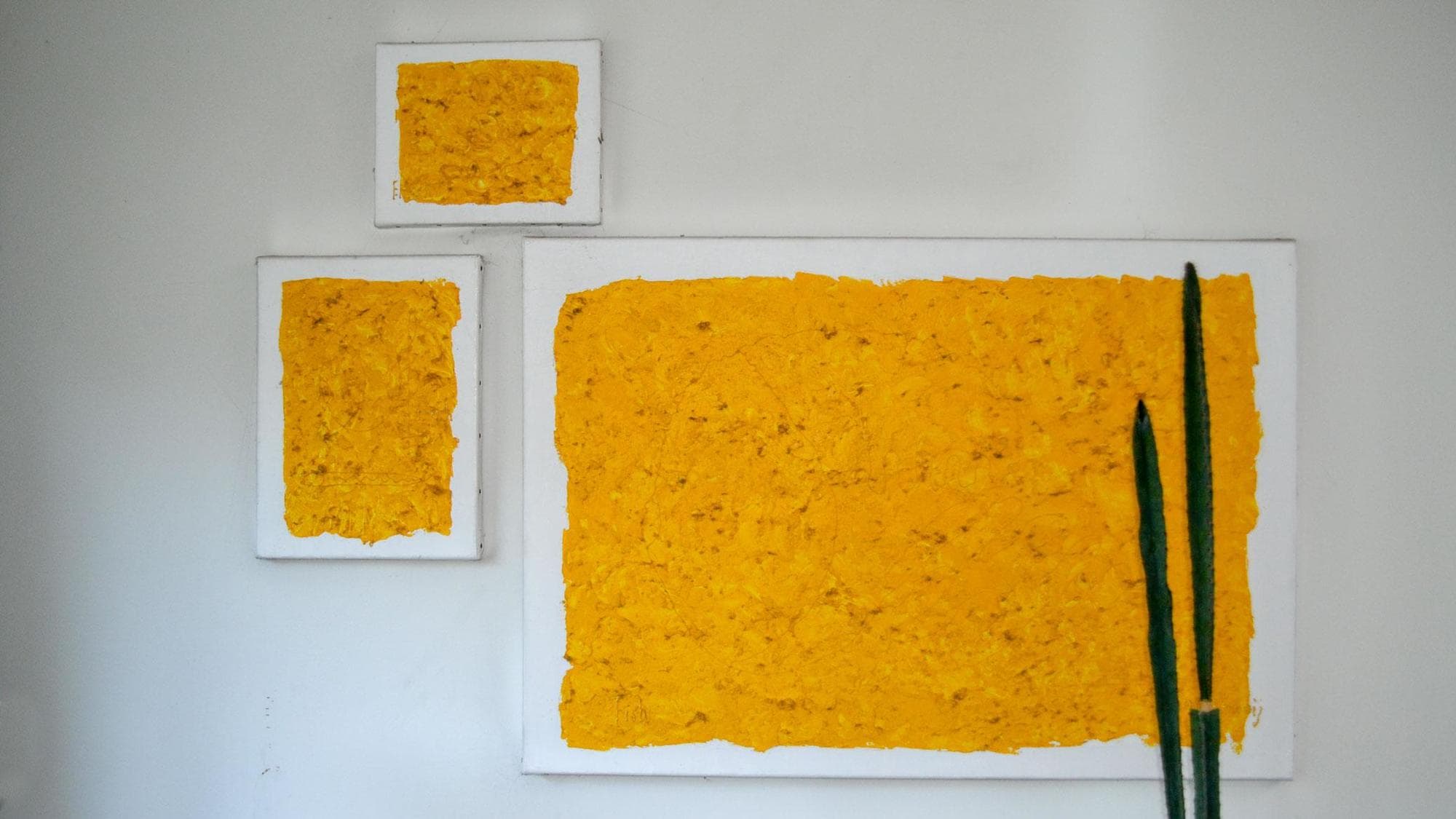 vissen in quarantaine