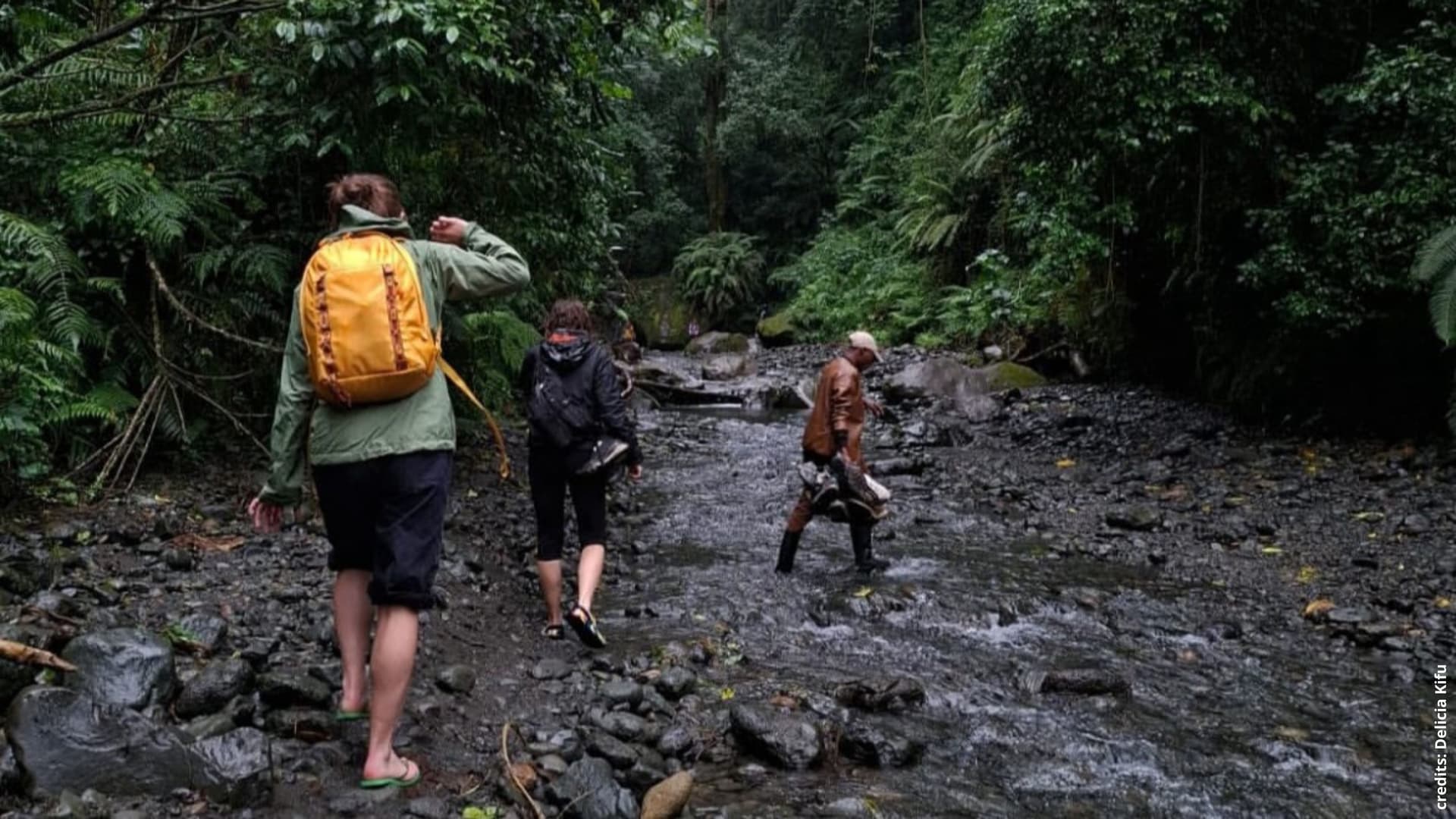 VAN ‘T STAD NAAR DE KILIMANJARO 