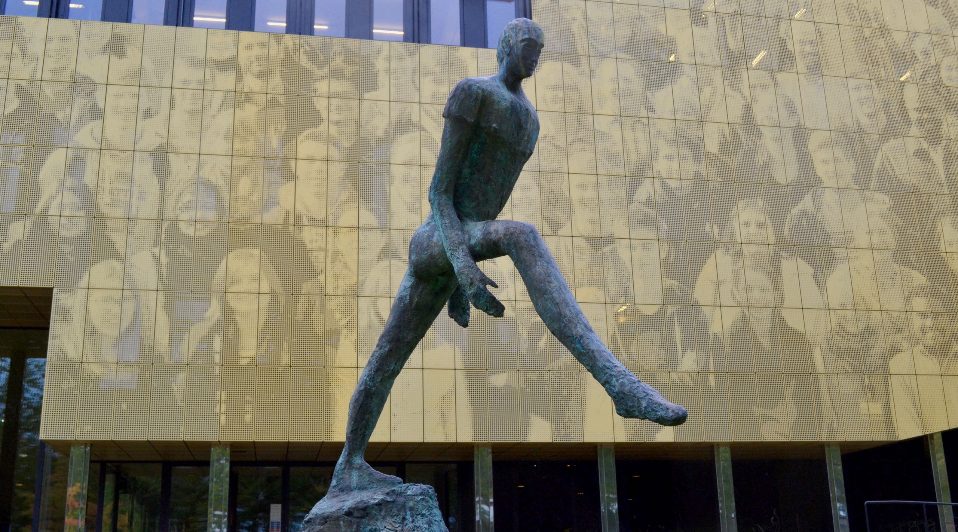 dokter  kunst, geneest u mij?  