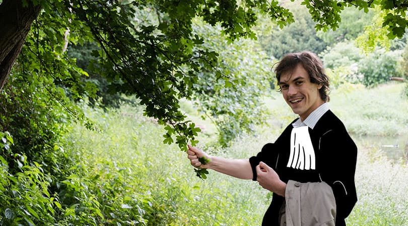 UAntwerpen klaagt boom aan vanwege overlast