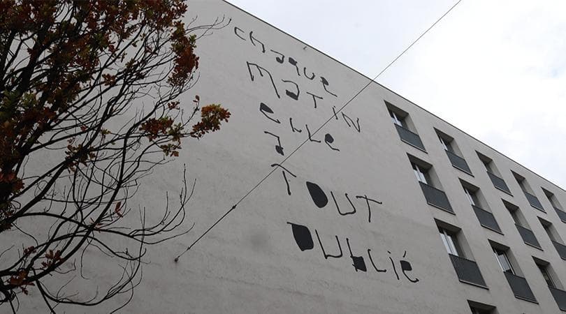 muurbloempje met lef