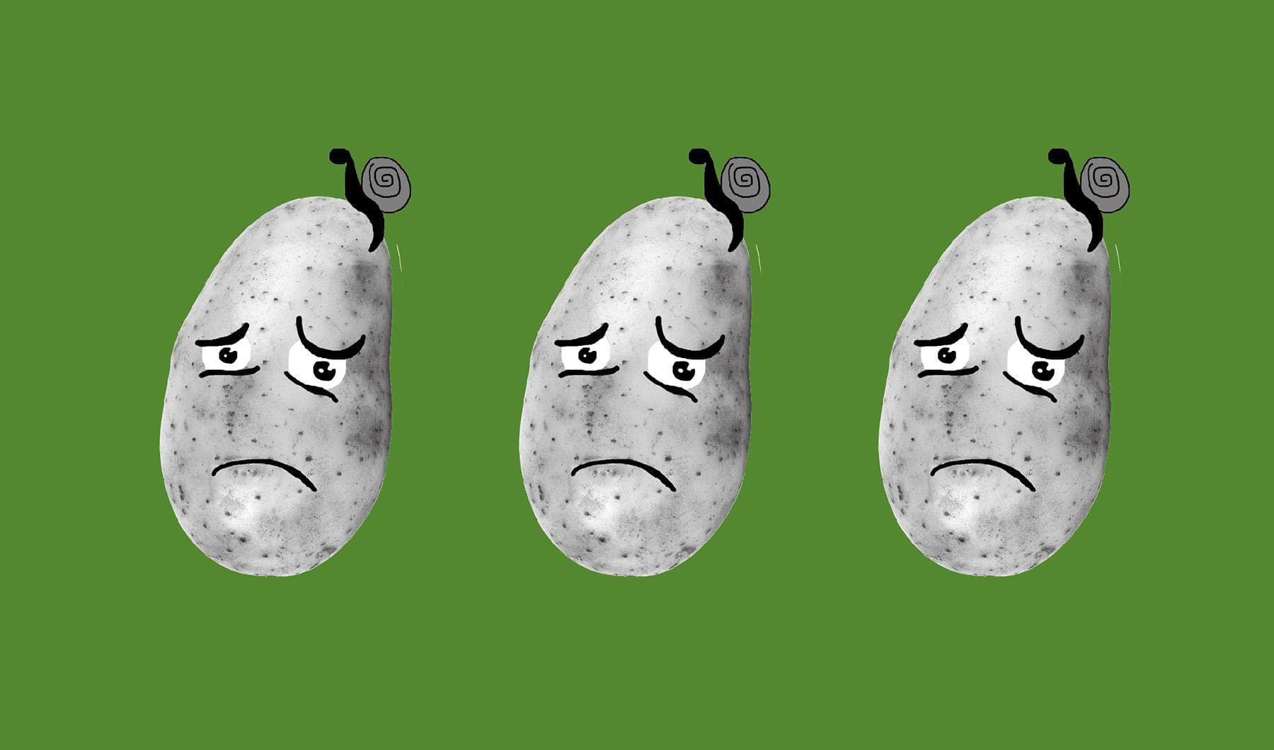 bloeiende geschiedenis in hartje Antwerpen