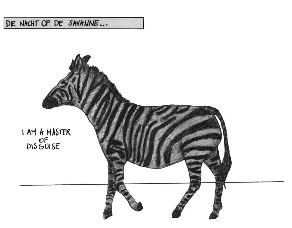 waarom dragen zebra's een strepenpak?