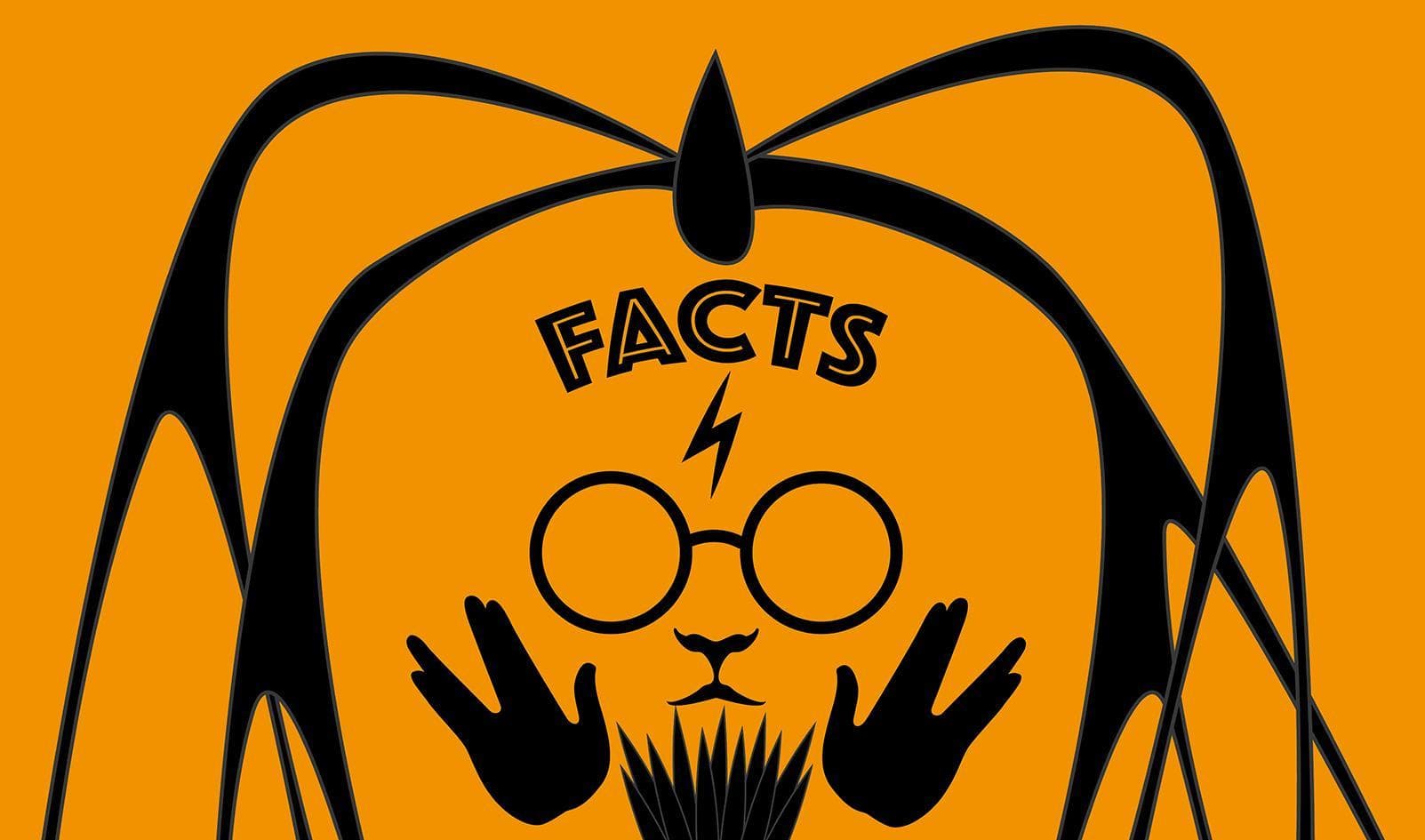 “fandoms aller landen, verenigt u!”