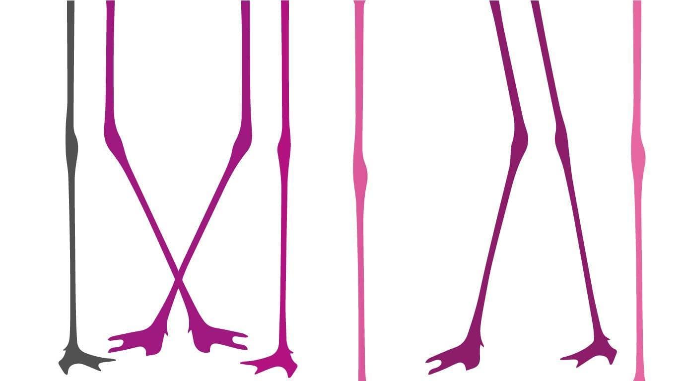 flamingo's: hardcore Darwin