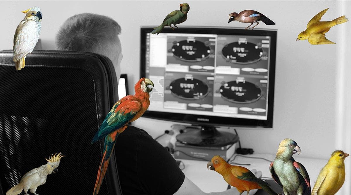 remedie tegen de verveling