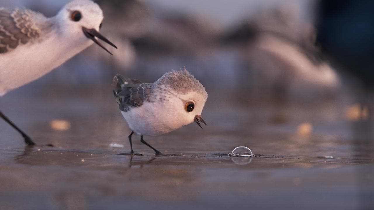 minirecensies van minifilms