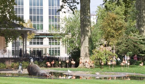 terugdenken aan vroeger in de Zoo van nu